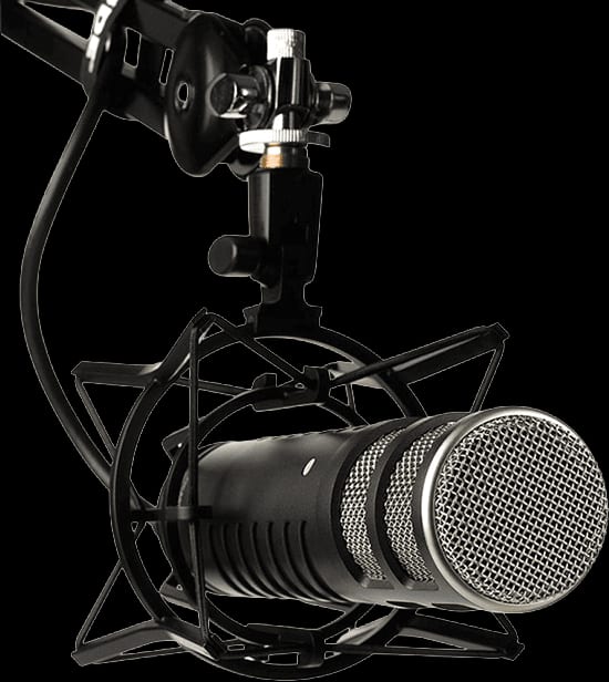 Professional radio studio microphone